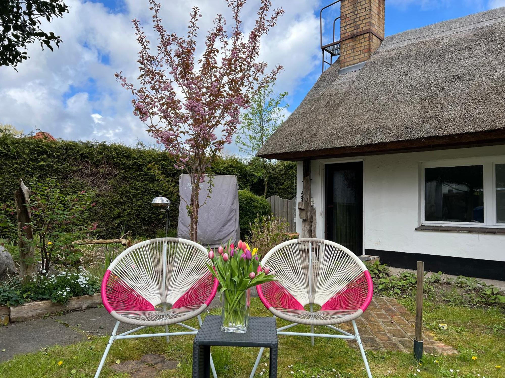 Tiny House Ostsee # Naturwerk Pruchten Exterior photo